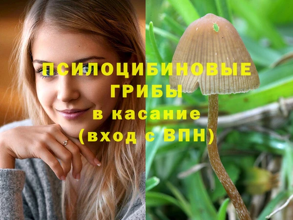 прущий лед Алексеевка