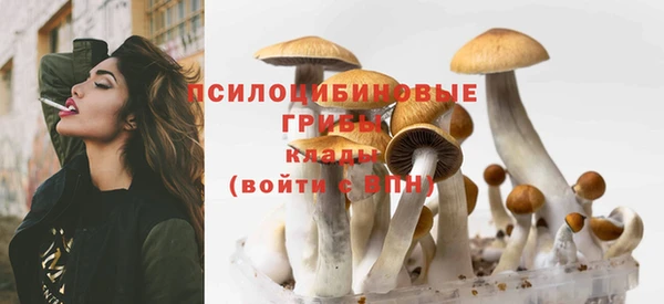 амфетамин Пересвет