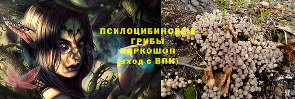 apvp Переславль-Залесский