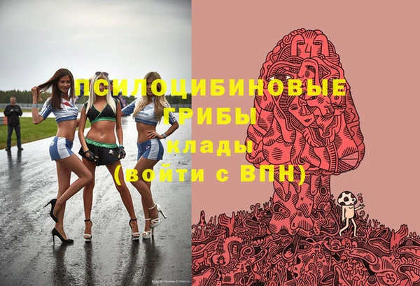 apvp Переславль-Залесский