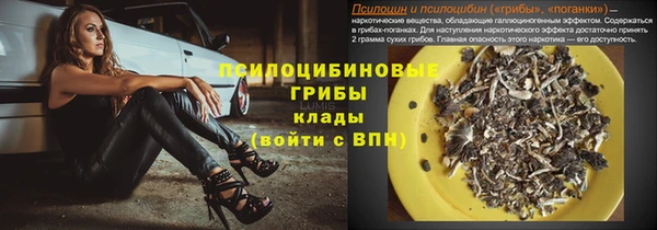 прущий лед Алексеевка
