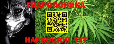 apvp Старая Купавна