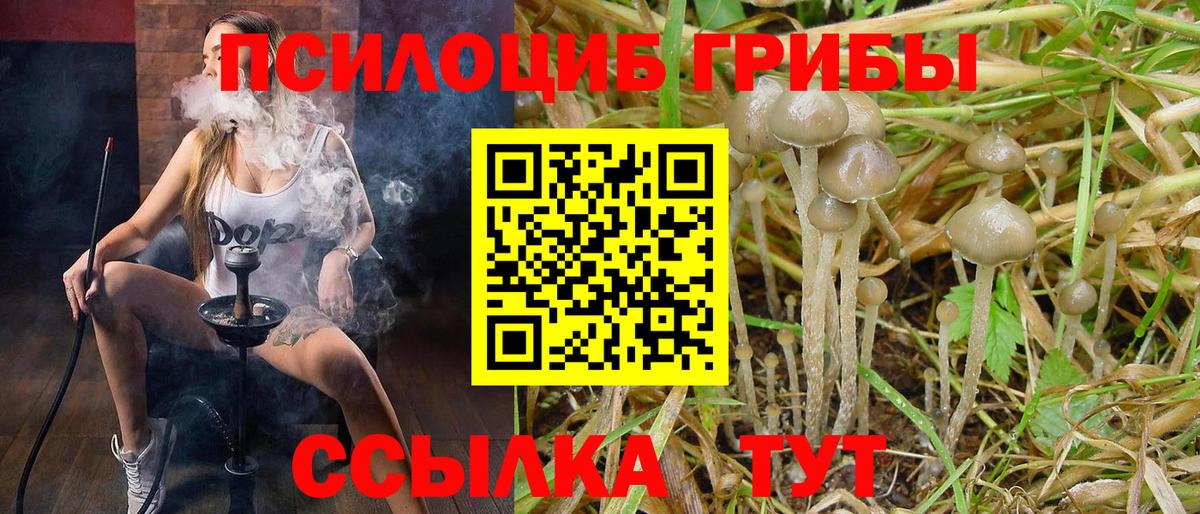 Галлюциногенные грибы мухоморы  Галлюциногенные грибы мицелий  Вход с VPN  Сосновый Бор 