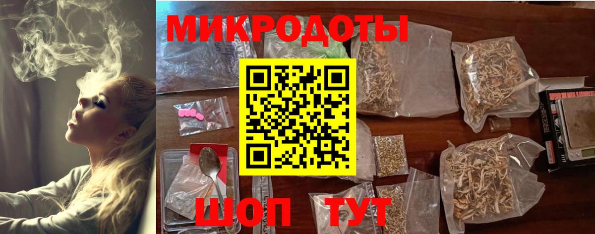 Галлюциногенные грибы Psilocybine cubensis Сосновый Бор